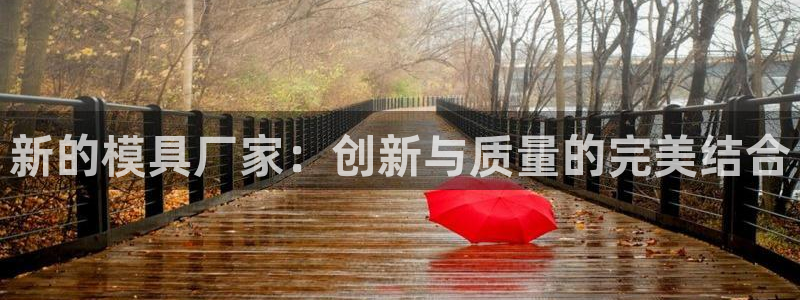 太阳集团娱乐官方网站：新的模具厂家：创新与质量的完美结合