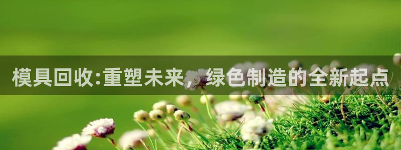 太阳集团娱乐全部网址视频：模具回收:重塑未来，绿色制造的全新起点