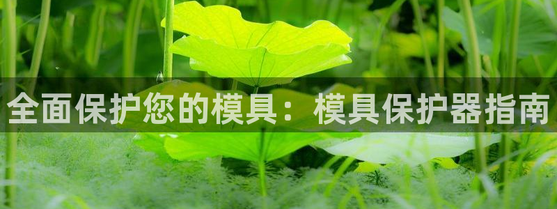 太阳集团是怎样一个公司