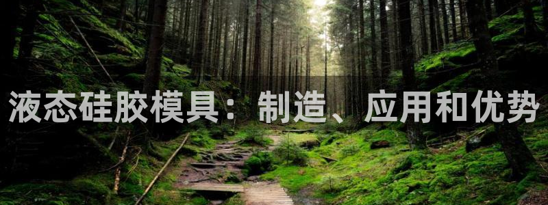 太阳商城贵宾会：液态硅胶模具：制造、应用和优势