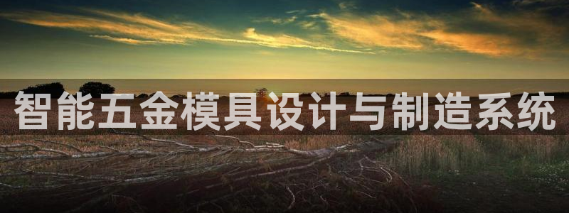 太阳成集团洗米华：智能五金模具设计与制造系统
