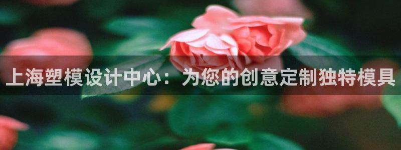 太阳成集团tyc234cc[主页]网：上海塑模设计中心：为您的创意定制独特模具