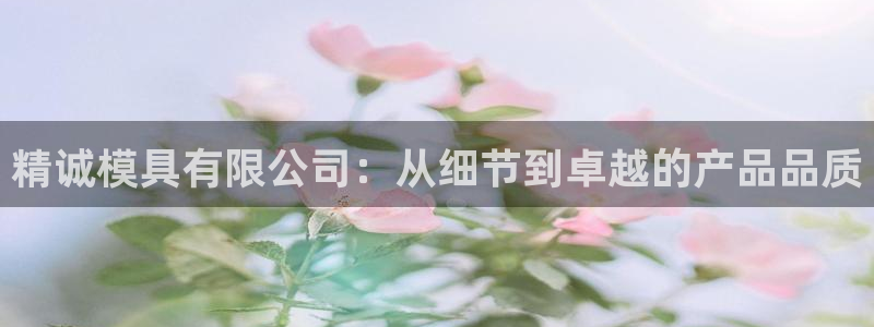 太阳2游戏娱乐官网：精诚模具有限公司：从细节到卓越的产品品质