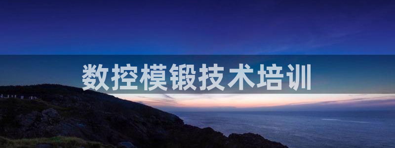 太阳集团游戏城旧版2.1.9：数控模锻技术培训