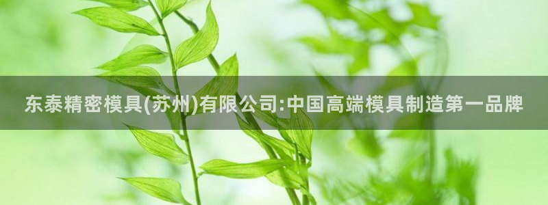 太阳集团所有网址16877官网：东泰精密模具(苏州)有限公司:中国高端模具制造第一品牌
