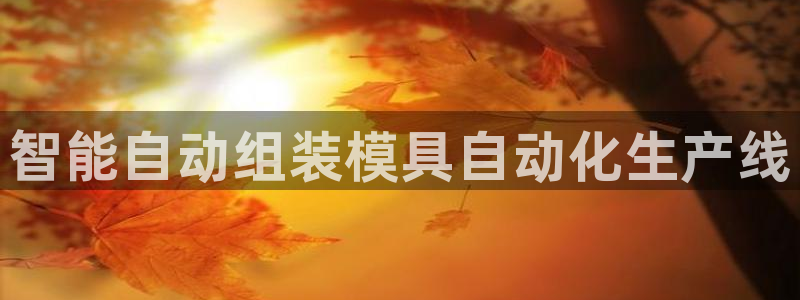 太阳集团网站5017：智能自动组装模具自动化生产线