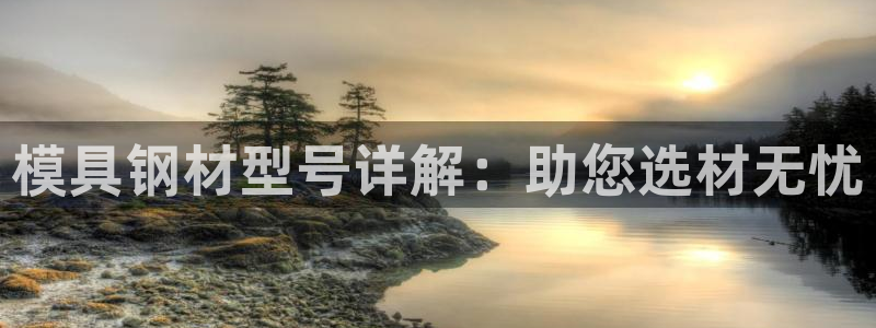 太阳集团app十佳平台怎么样：模具钢材型号详解：助您选材无忧