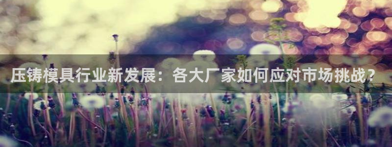 太阳神电子游戏平台：压铸模具行业新发展：各大厂家如何应对市场挑战？