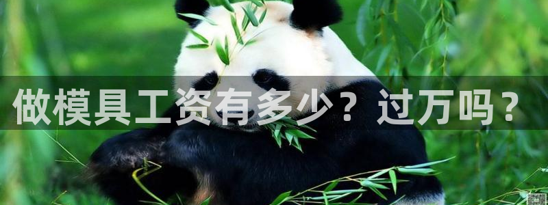 太阳集团主要是做什么的：做模具工资有多少？过万吗？