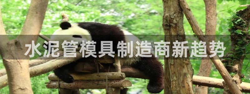 太阳2注册官网下载：水泥管模具制造商新趋势