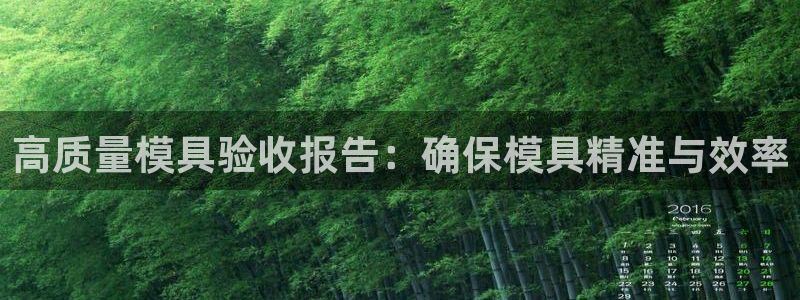 太阳成集团网站5：高质量模具验收报告：确保模具精准与效率