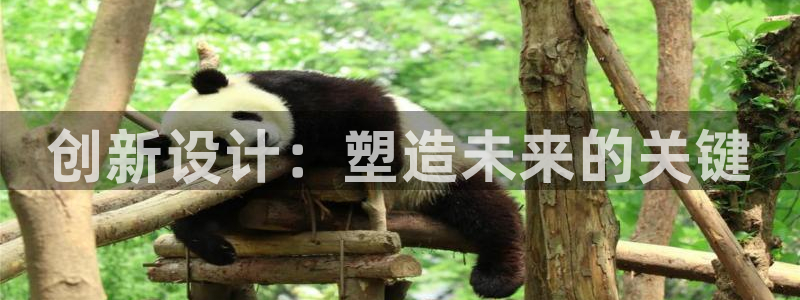 太阳集团游戏城旧版1382：创新设计：塑造未来的关键