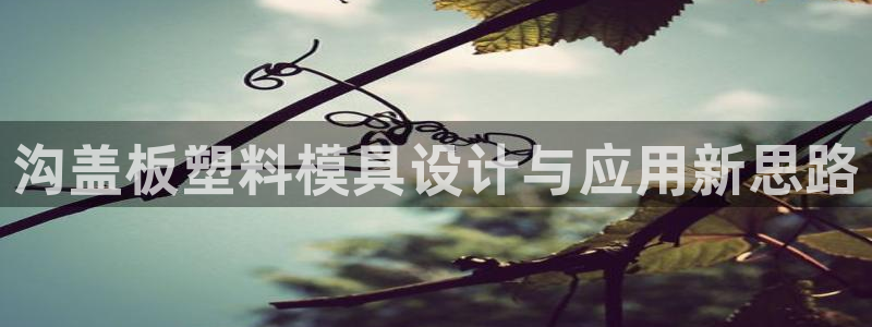 太阳老板是谁：沟盖板塑料模具设计与应用新思路