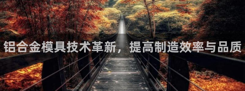 太阳集团电子游戏有限公司：铝合金模具技术革新，提高制造效率与品质