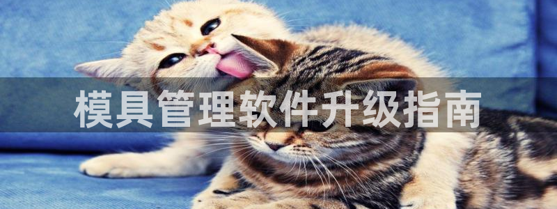 太阳诚集团所有网站：模具管理软件升级指南