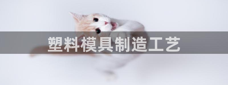 太阳成集团tyc234cc主页网址：塑料模具制造工艺