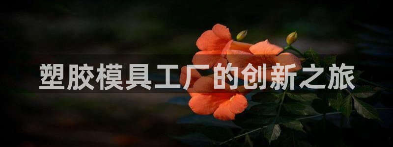 太阳集团入口官网网址：塑胶模具工厂的创新之旅
