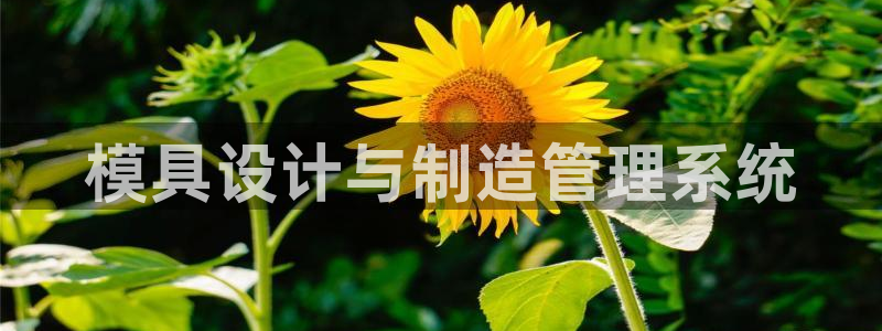 太阳成集团tyc122ccvlp：模具设计与制造管理系统