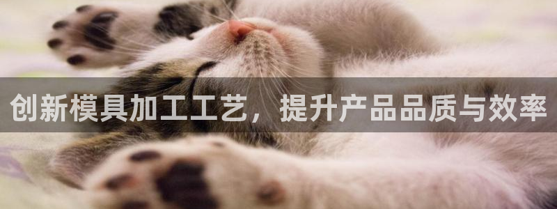太阳集团市值