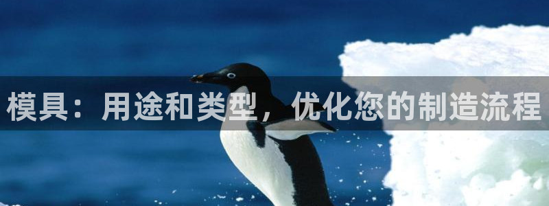 太阳游戏盒子：模具：用途和类型，优化您的制造流程