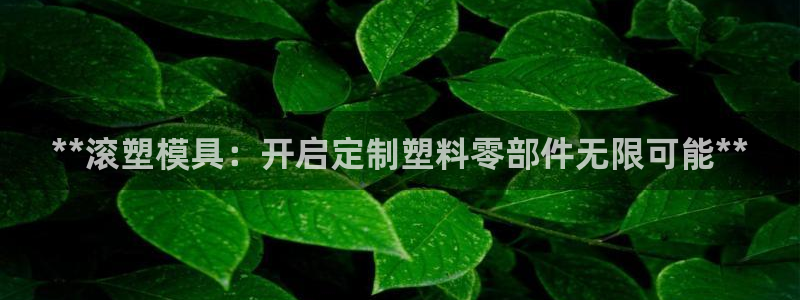 太阳集团是真的吗：**滚塑模具：开启定制塑料零部件无限可能**