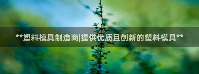太阳影视公司：**塑料模具制造商|提供优质且创新的塑料模具**