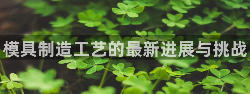 太阳成集团网站005：模具制造工艺的最新进展与挑战