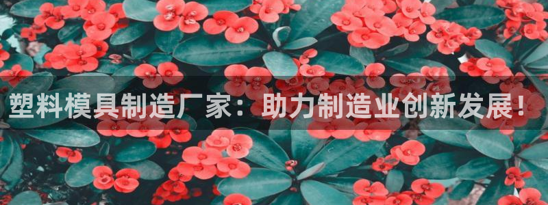 澳门太阳集团洗米华：塑料模具制造厂家：助力制造业创新发展！