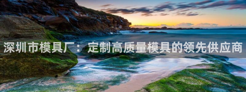 太阳http下载：深圳市模具厂：定制高质量模具的领先供应商