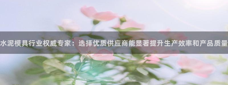 太阳集团娱乐官方网站入口：水泥模具行业权威专家：选择优质供应商能显著提升生产效率和产品质量
