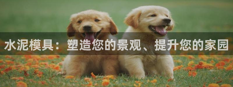 太阳集团电子游戏(中国)有限公司：水泥模具：塑造您的景观、提升您的家园