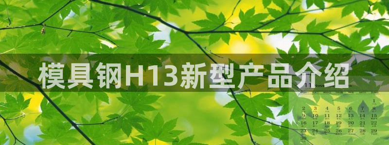 1593太阳集团城所有网址：模具钢H13新型产品介绍