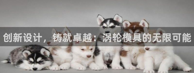 太阳成集团老板是谁：创新设计，铸就卓越：涡轮模具的无限可能