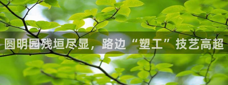 太阳集团tcy8722查封了：圆明园残垣尽显，路边“塑工”技艺高超