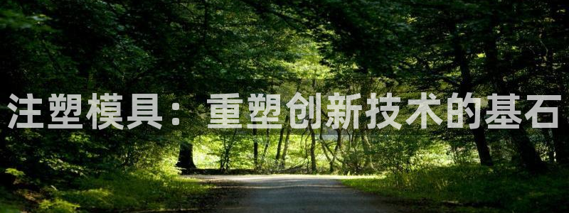太阳成集团网站取款