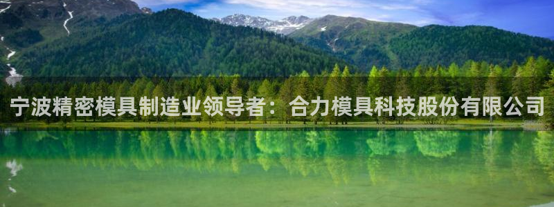 太阳集团娱乐官方网站下载：宁波精密模具制造业领导者：合力模具科技股份有限公司