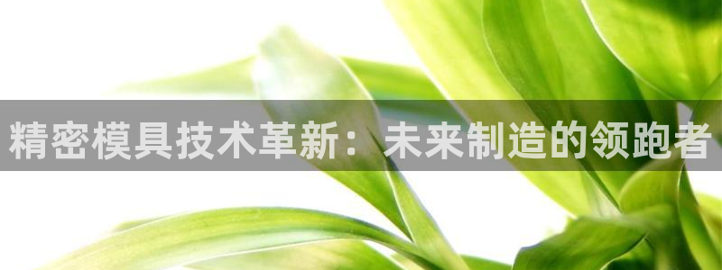 古天乐只有太阳能黑他：精密模具技术革新：未来制造的领跑者