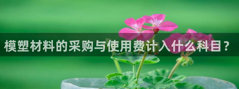 太阳成集团tyc122cc：模塑材料的采购与使用费计入什么科目？