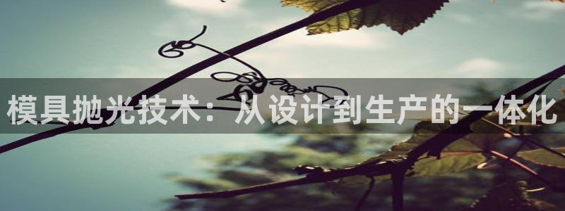 太阳集团注册：模具抛光技术：从设计到生产的一体化