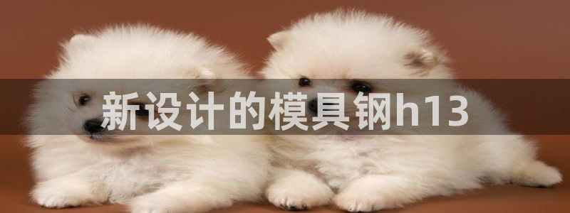 122cc太阳集成游戏：新设计的模具钢h13
