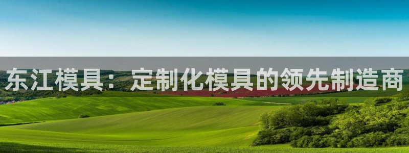 冷太阳什么意思：东江模具：定制化模具的领先制造商