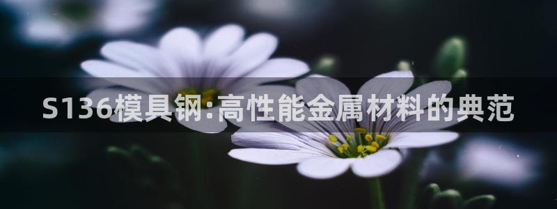 太阳诚集团APP在线观看：S136模具钢:高性能金属材料的典范