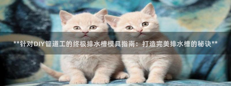太阳集团网站视频：**针对DIY管道工的终极排水槽模具指南：