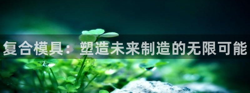 太阳成集团老板是谁：复合模具：塑造未来制造的无限可能