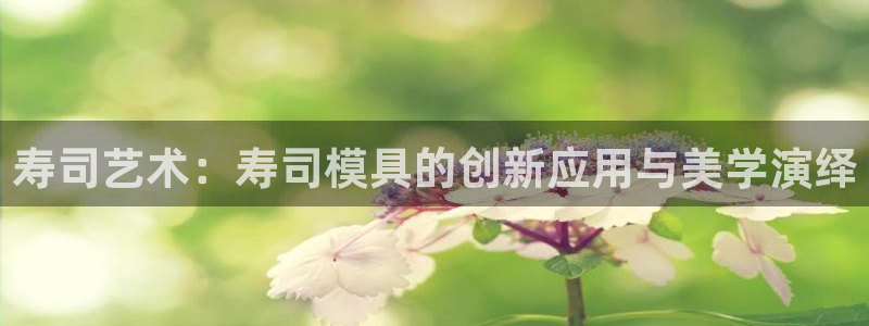 太阳集团官网8722：寿司艺术：寿司模具的创新应用与美学演绎