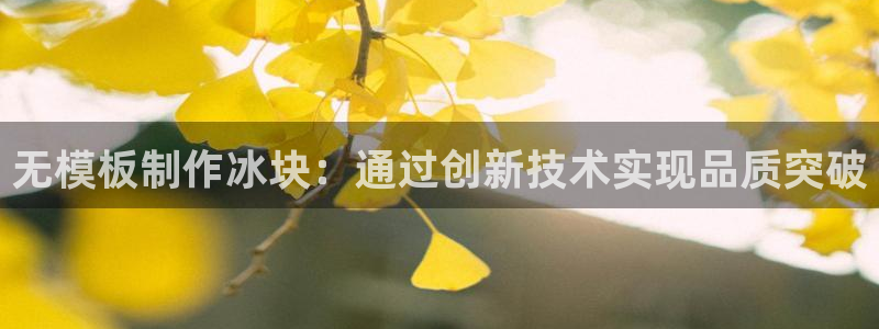 太阳诚集团APP在线观看：无模板制作冰块：通过创新技术实现品质突破