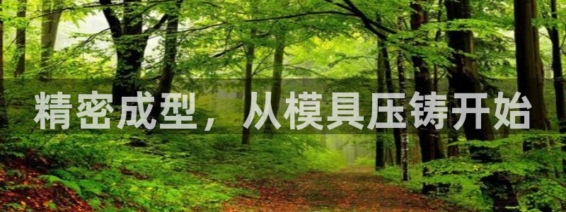 太阳成集团tyc234cc投资控股集团：精密成型，从模具压铸开始