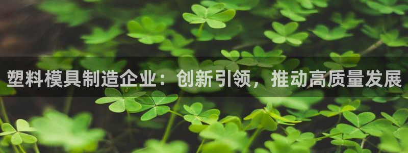 太阳成集团tyc3345：塑料模具制造企业：创新引领，推动高质量发展