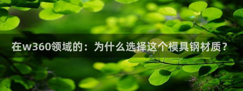 太阳集团股东：在w360领域的：为什么选择这个模具钢材质？