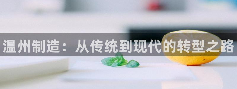 2018太阳集团游戏网站：温州制造：从传统到现代的转型之路
